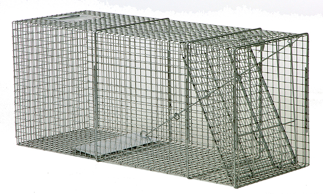 Bridger HD Cage Live Trap - Bobcat