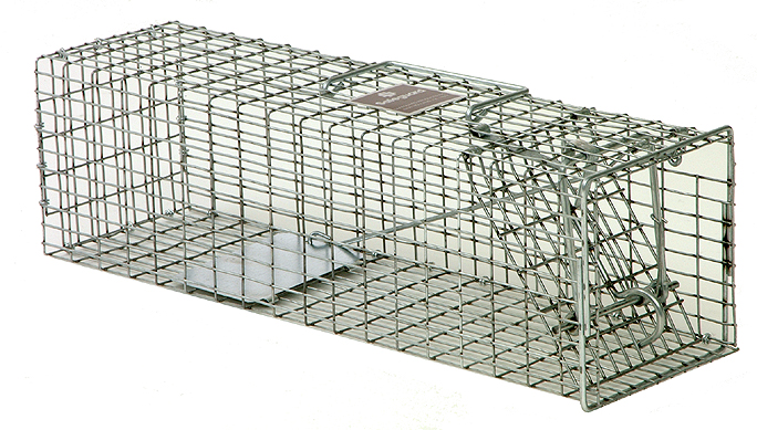 red squirrel trap, red squirrel traps, red squirrel cage, red squirrel cages, red squirrel 