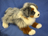 AUSTRALIAN SHEPHERD FLOPPY 16" (41CM)