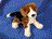 BEAGLE BERNIE FLOPPY 14" (36CM)