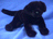 BLACK LAB FLOPPY 16" (41CM)