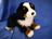 BERNESE MOUNTAIN DOG FLOPPY 16" (41CM)