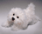 BICHON FRISE MUFFIN 9" L (23CM)